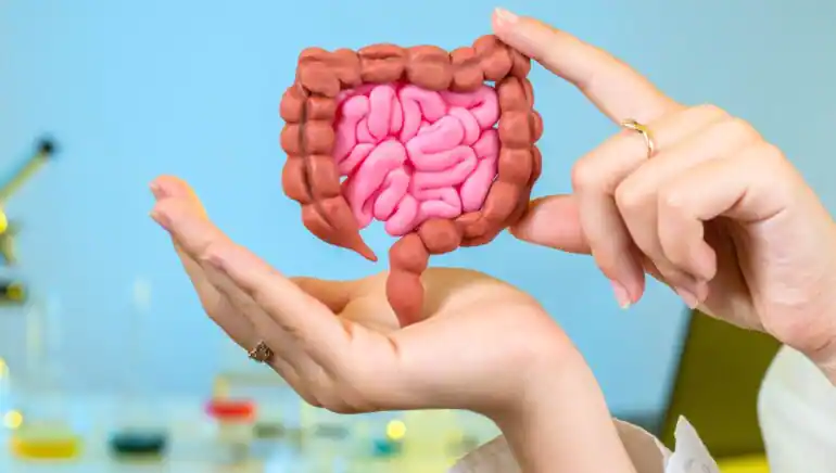 Supports Healthy Gut Microbiome